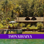 Tsunaihaiya