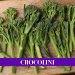Crocolini