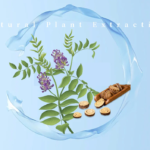 Dipotassium Glycyrrhizinate & Bakuchiol: The Zero-Irritation Anti-Aging Matrix